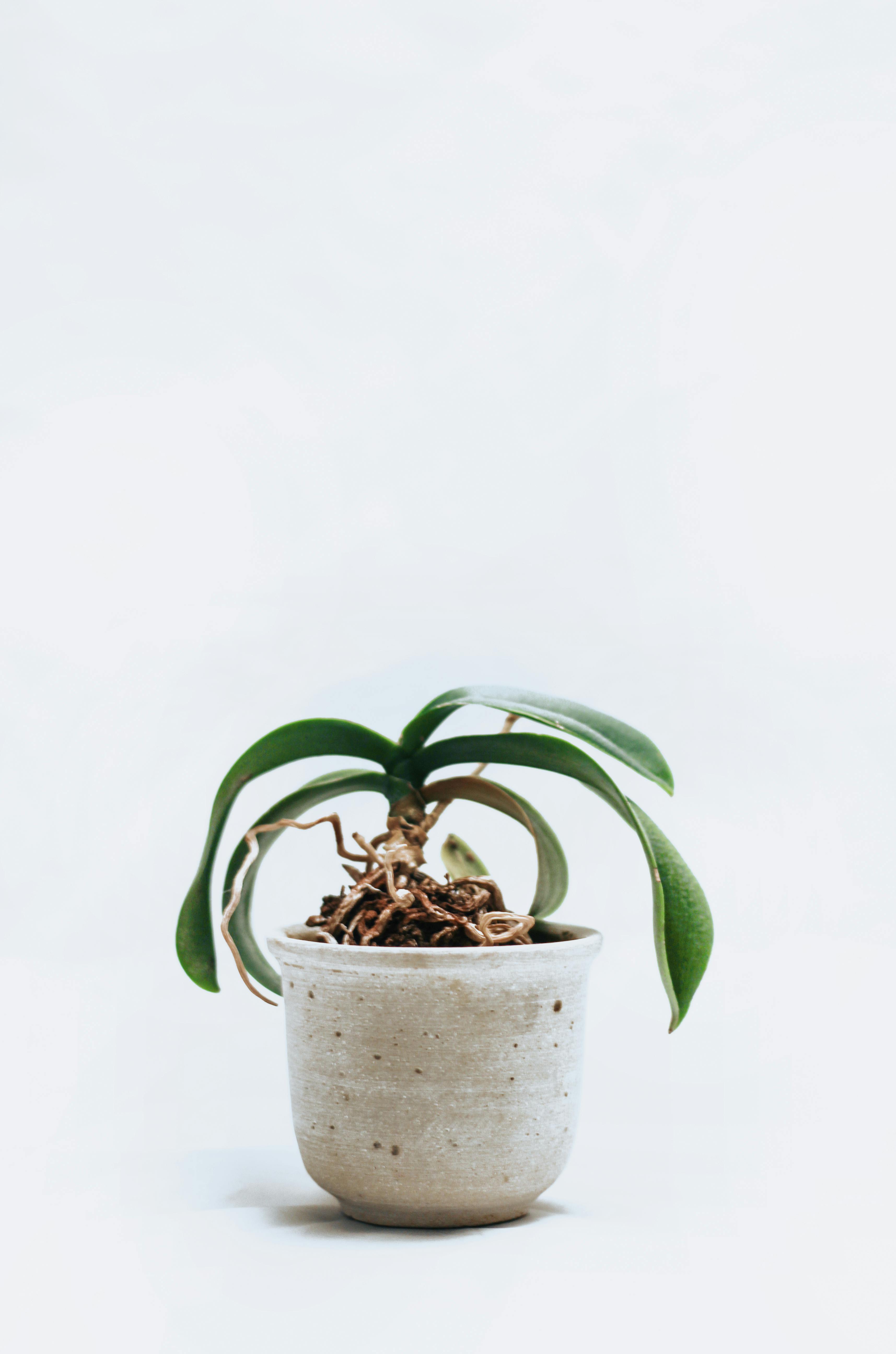 Miembro 1 tam 150px